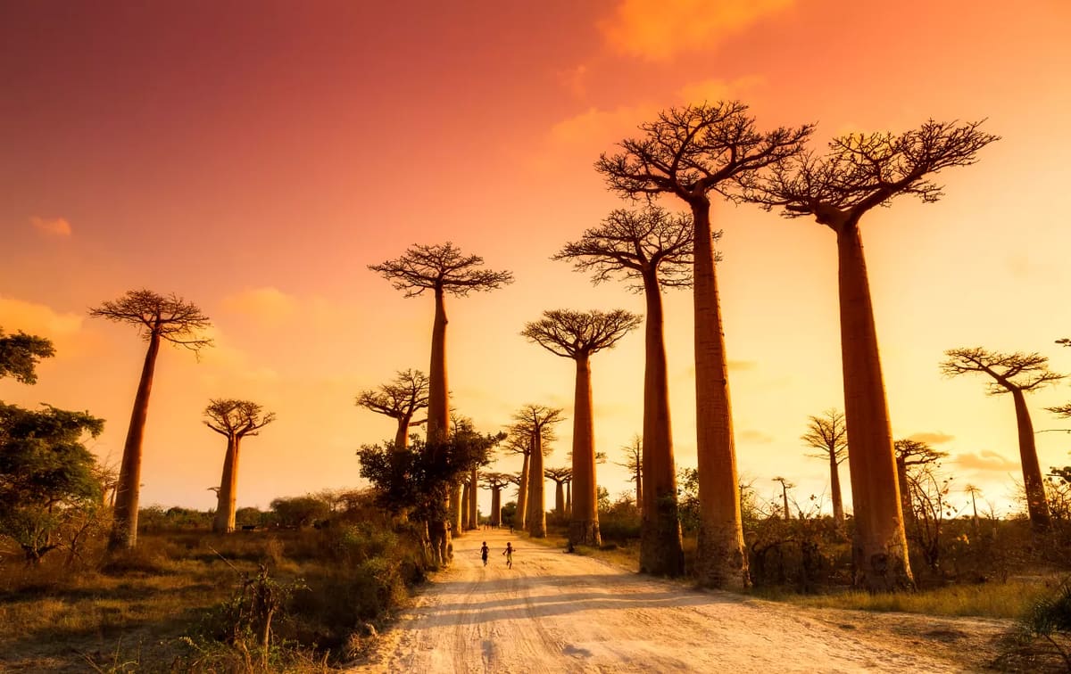 Morondava