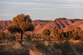 Moranbah