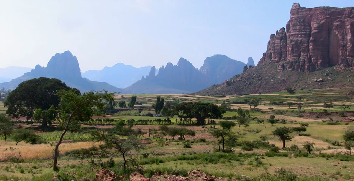 Mekele