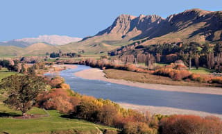 Napier