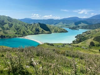 Nelson