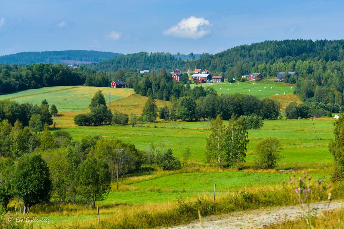 Örnsköldsvik