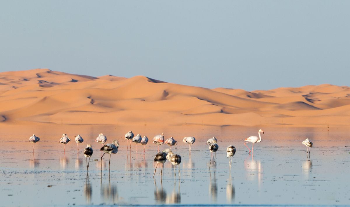 Ouargla