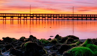 Punta Gorda