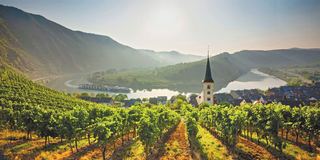 Moselle