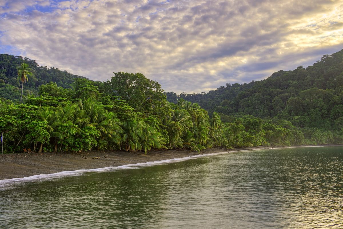 Puerto Jimenez