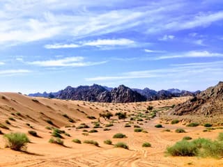 Arar