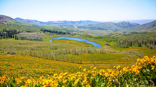 Ruby