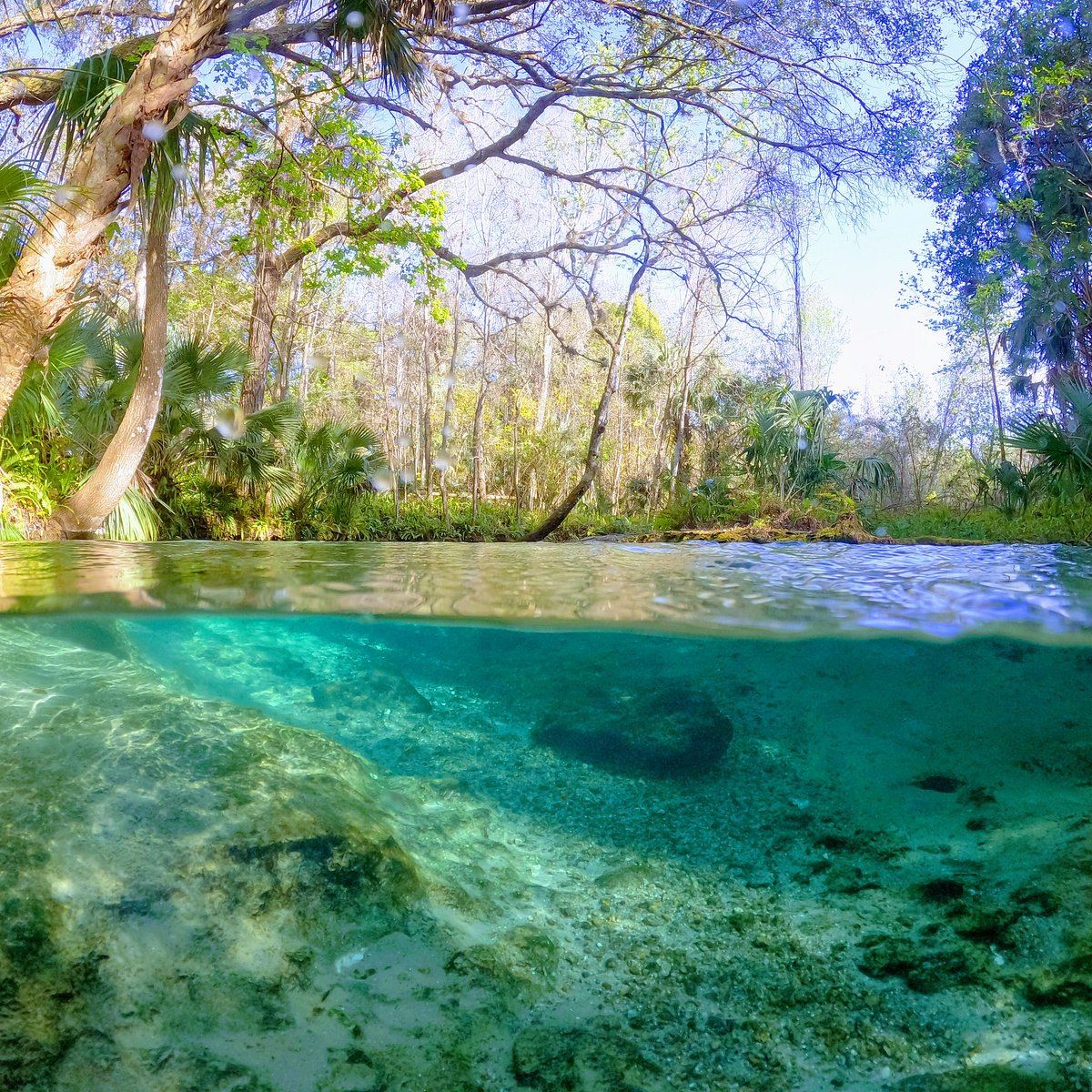 Rock Springs