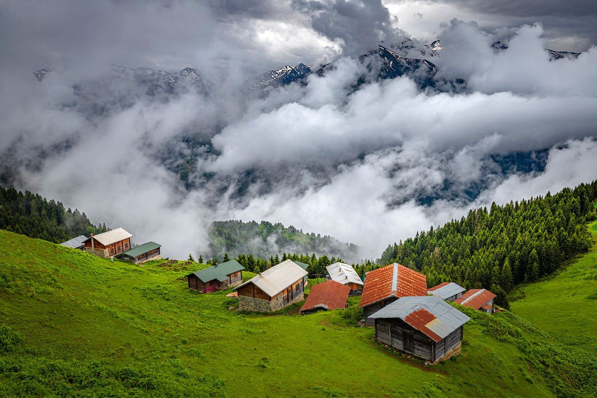 Rize