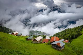 Rize