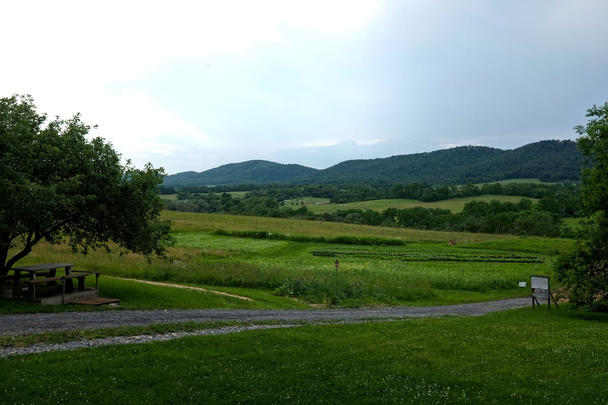 State College