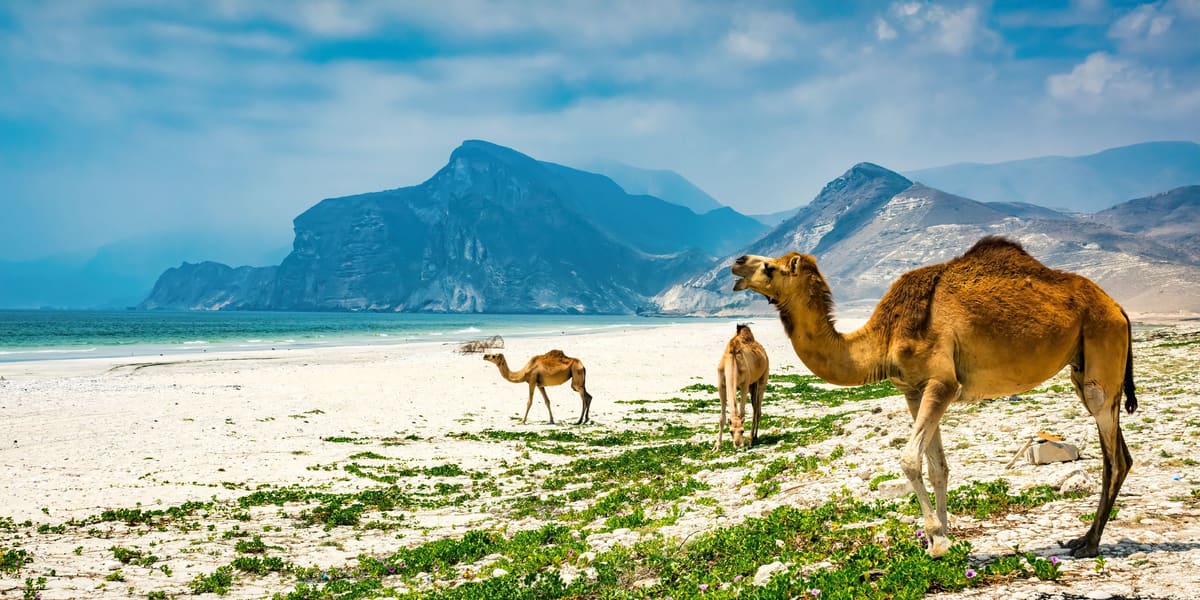Salalah