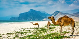 Salalah