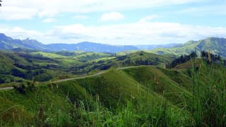 Nausori