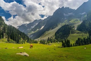Srinagar