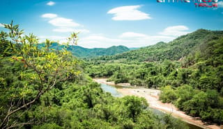 Tarija