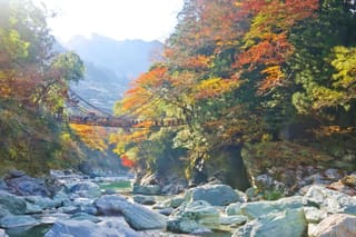 Tokushima
