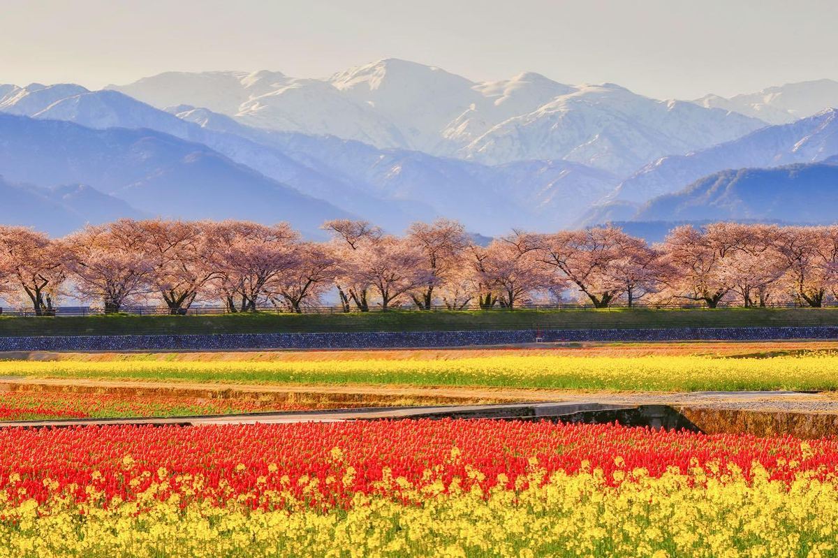 Toyama
