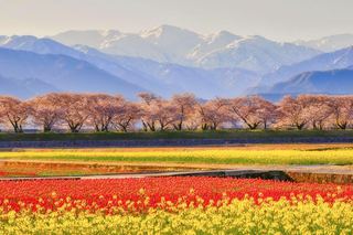 Toyama