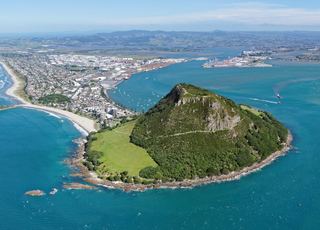 Tauranga