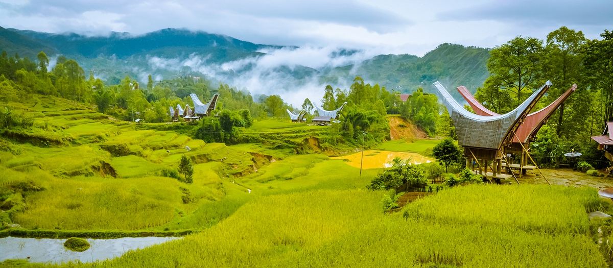 Toraja