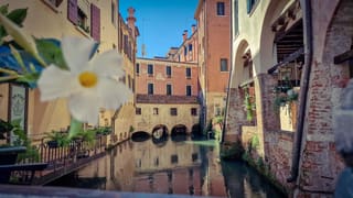 Treviso (TV)