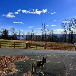Ewing Township