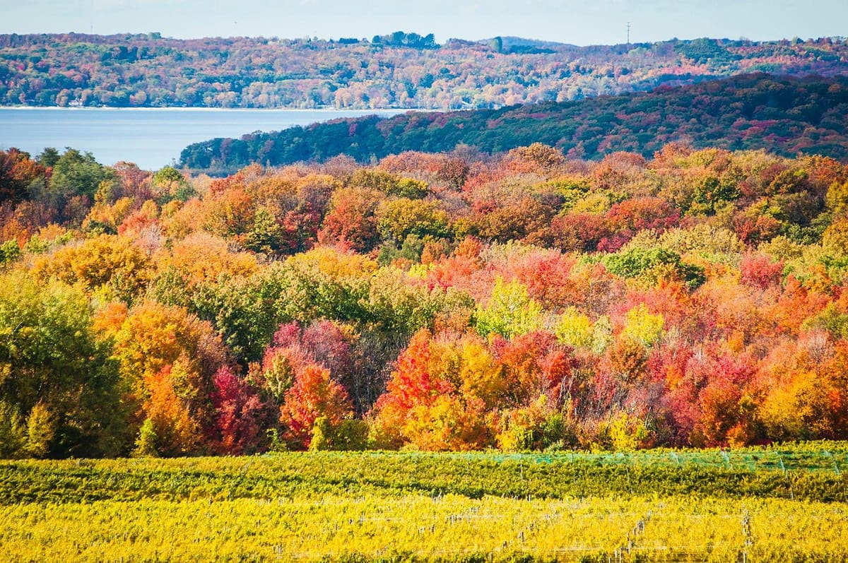 Traverse City