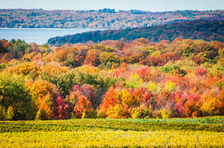 Traverse City