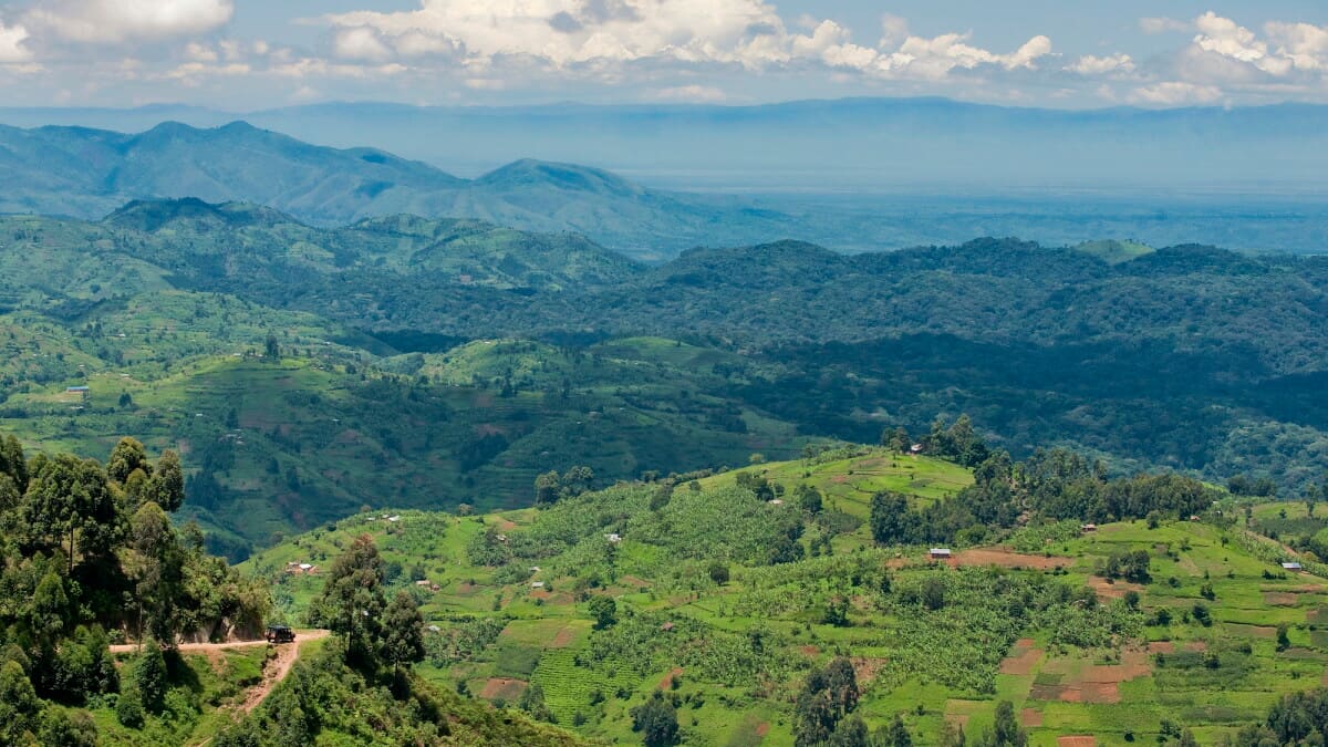 Gulu