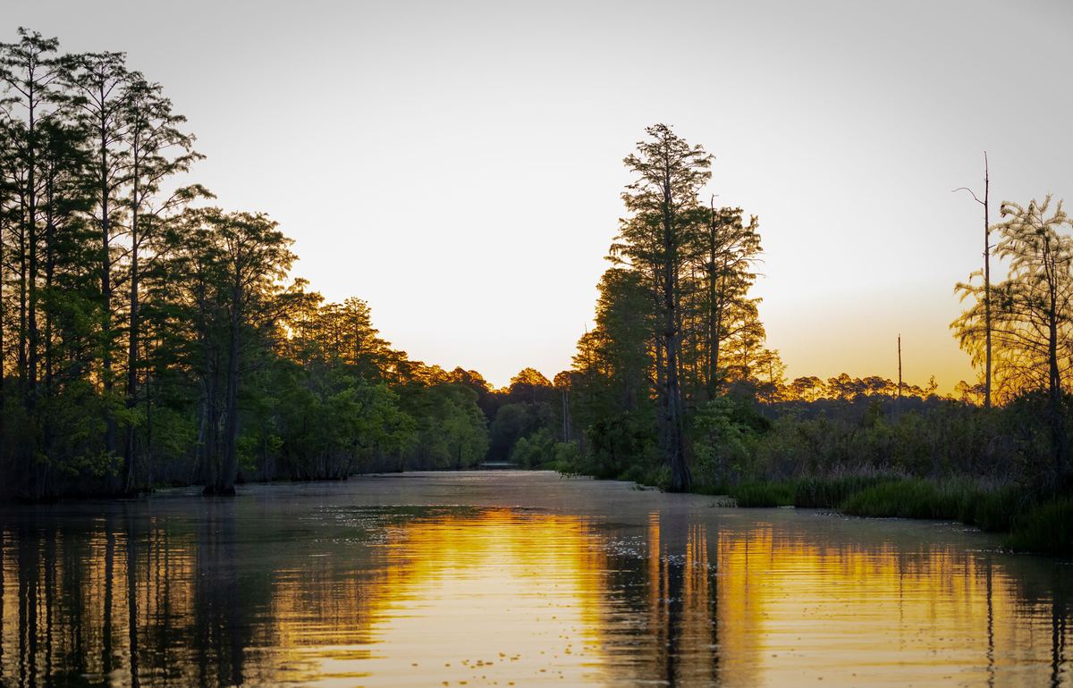 Valdosta
