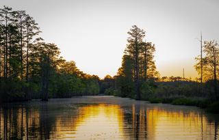 Valdosta