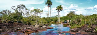 Villavicencio