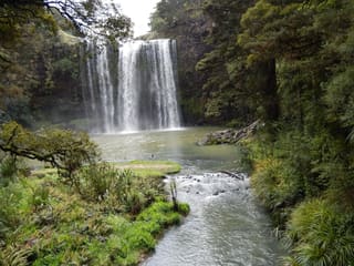 Whangarei