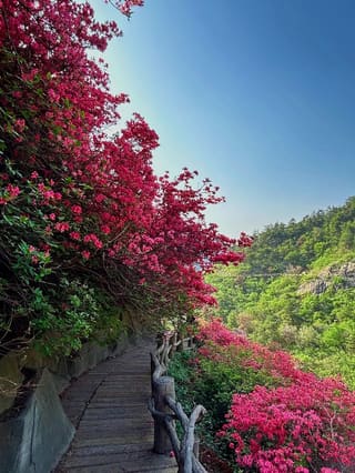 Wuhan (Huangpi)