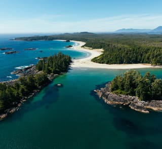 Tofino