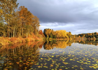 Deer Lake