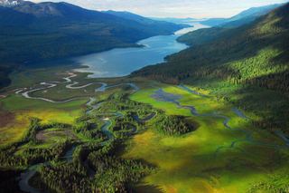 Quesnel