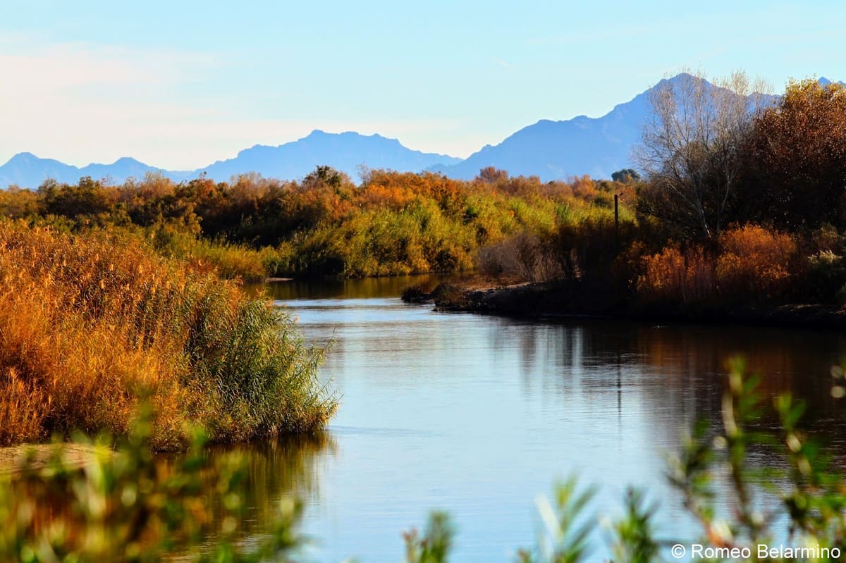 Yuma
