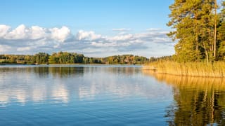 La Ronge
