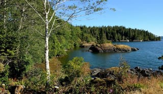 Port Hardy