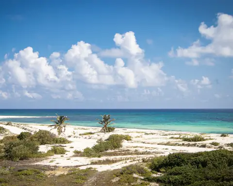 Cozumel