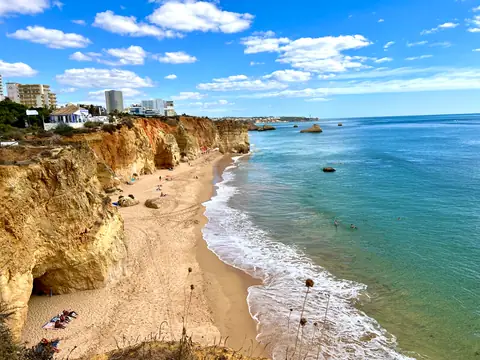 Faro