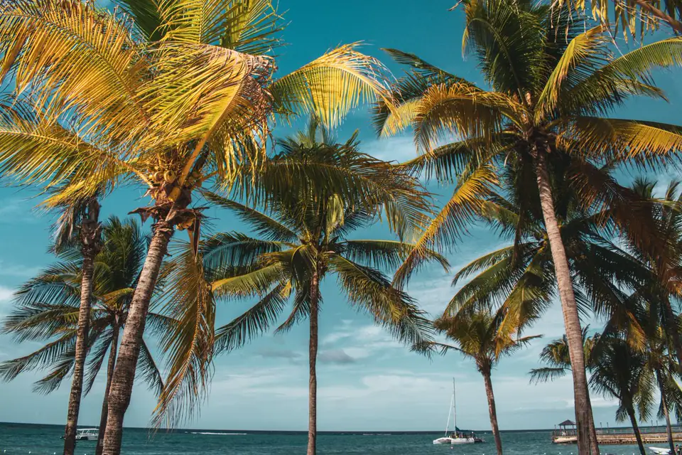 Montego Bay